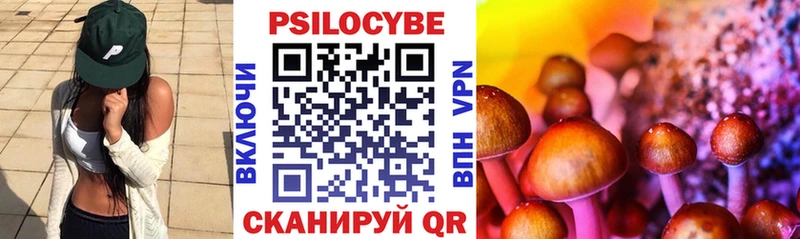 Псилоцибиновые грибы ЛСД  Наволоки 
